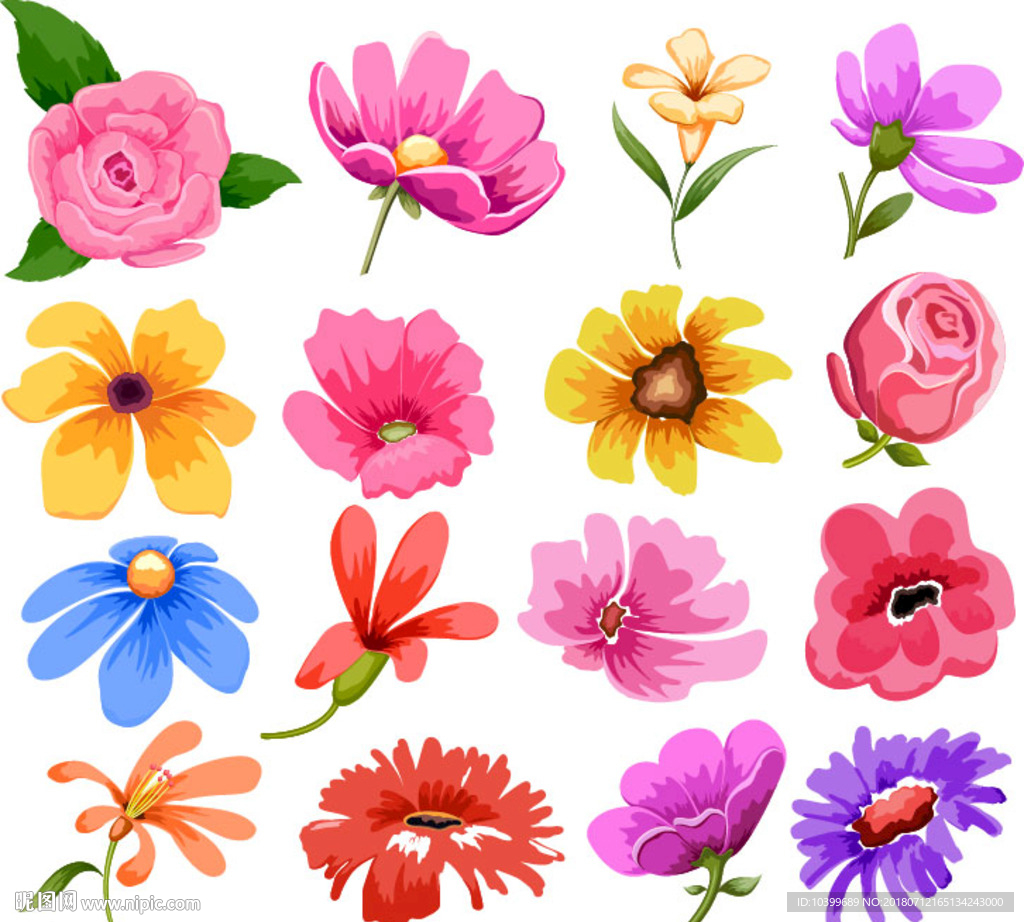 多款花朵素材图