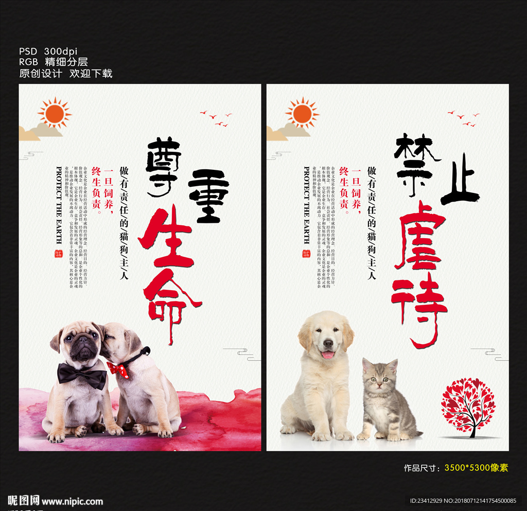 禁止虐待虐待宠物