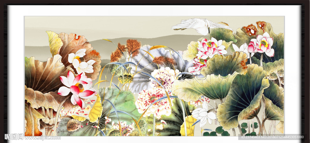 荷花图