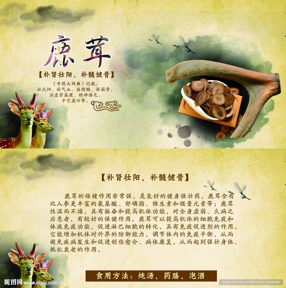 鹿茸介绍