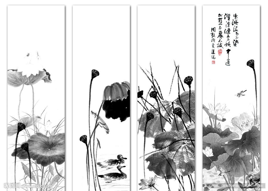 荷花