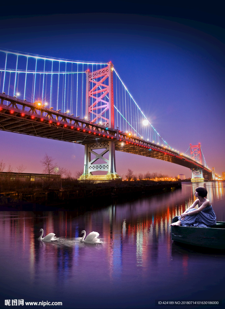 城市夜景湖景天鹅