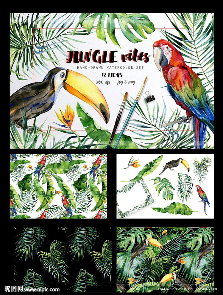水彩手绘热带雨林花卉植物巨嘴鸟