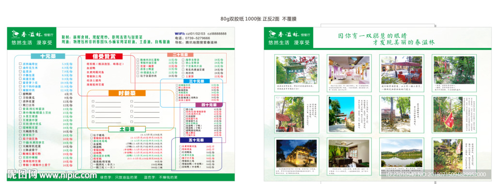 菜单  设计  单页  春滋林