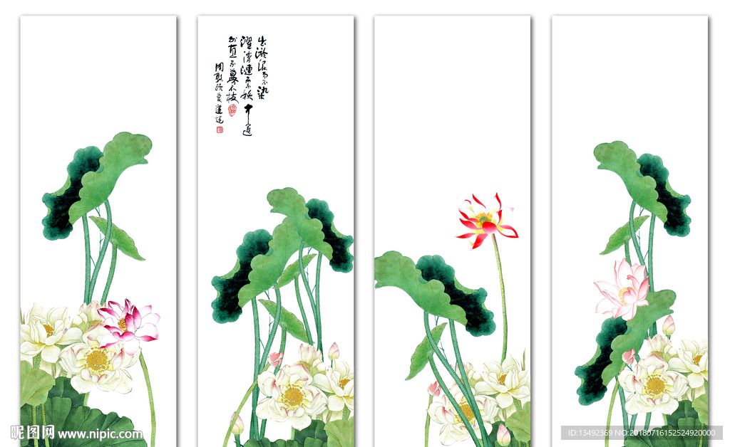 荷花