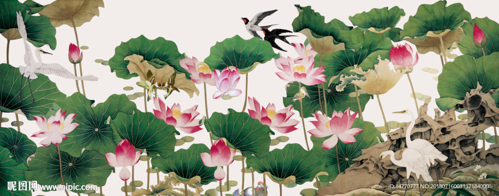 国画荷花