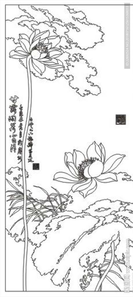 荷花