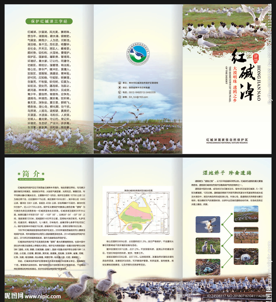 旅游三折页