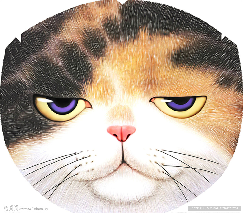 猫头