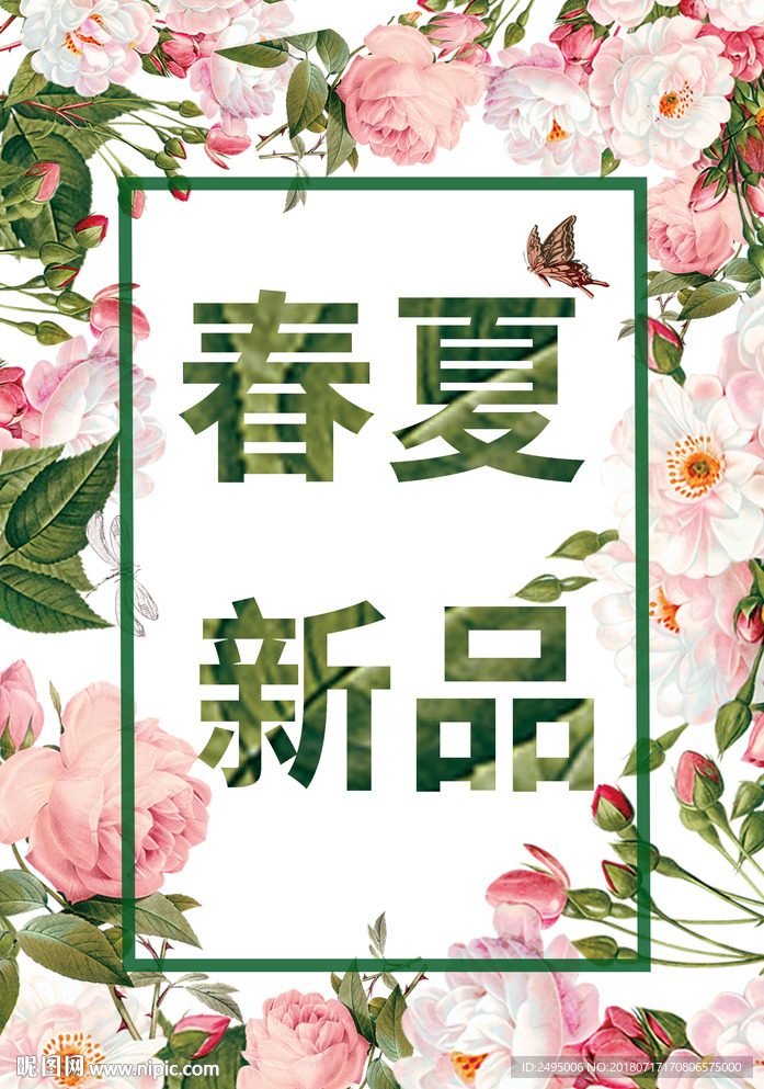 红花春秋 新品   时光花 玫