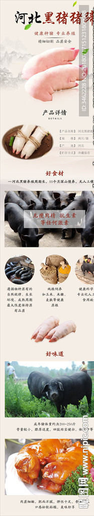 河北黑猪猪蹄详情页设计电商淘宝