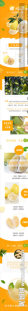 福建琯溪白心柚子电商详情页
