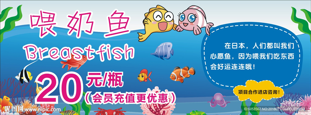 喂奶鱼