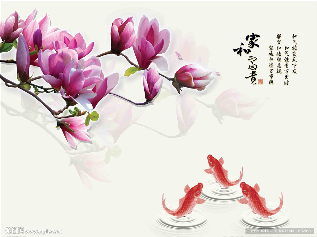 玉兰花
