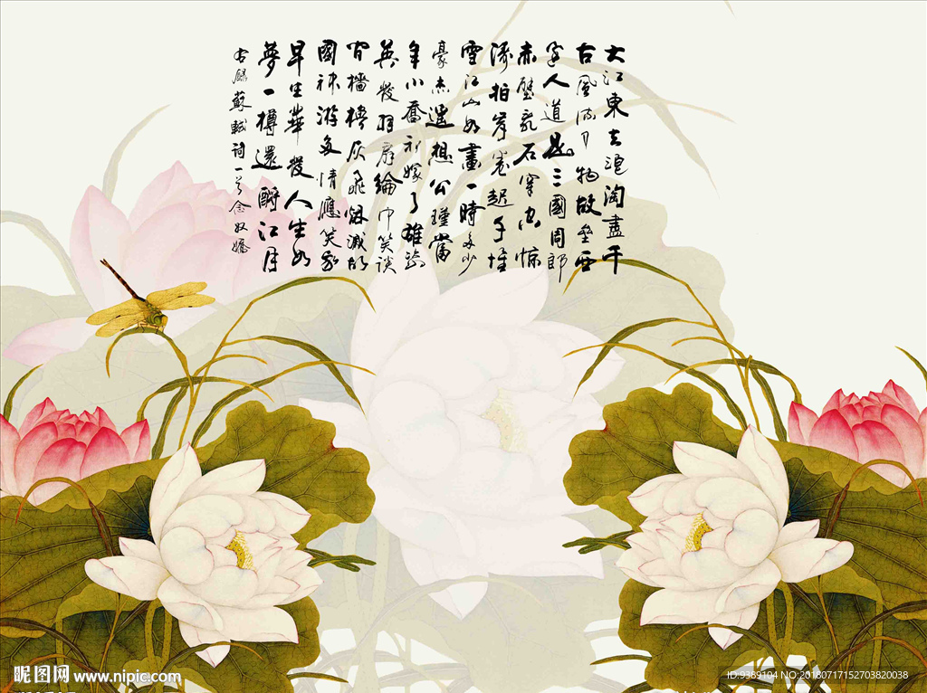 荷花