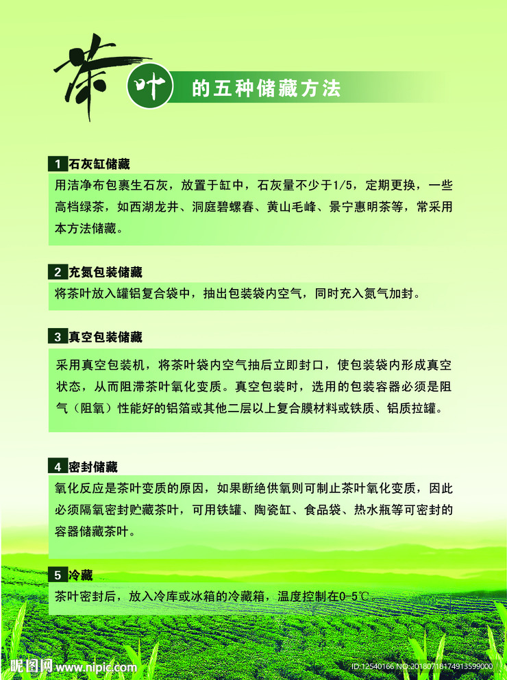 茶叶收藏知识