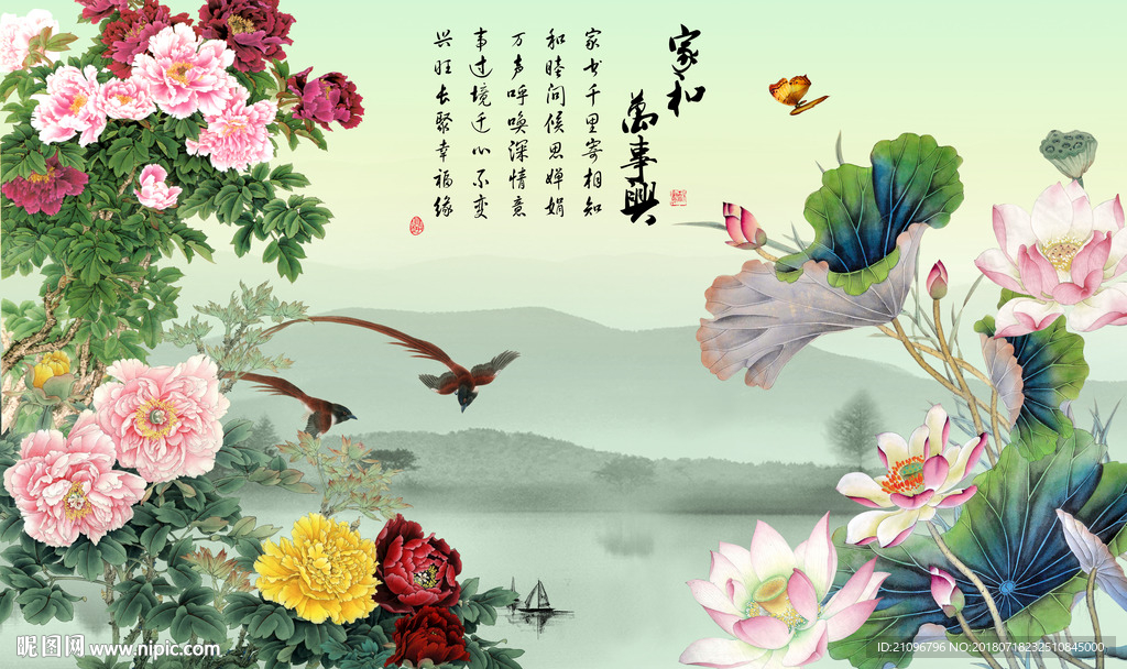 牡丹荷花背景