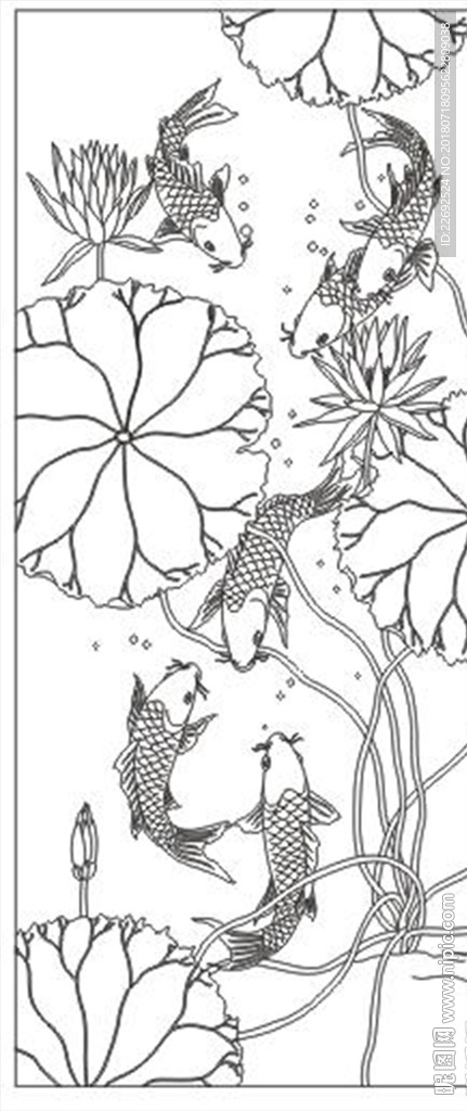 荷花