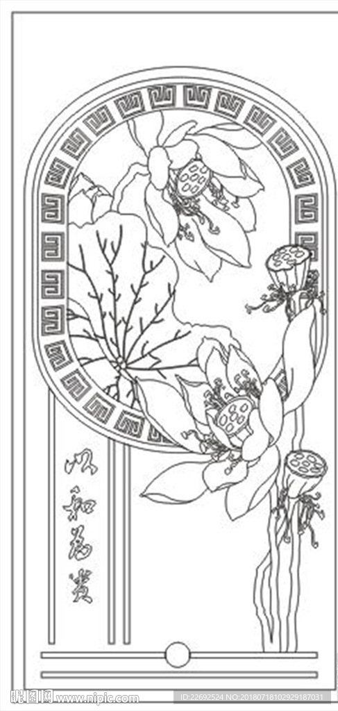 荷花