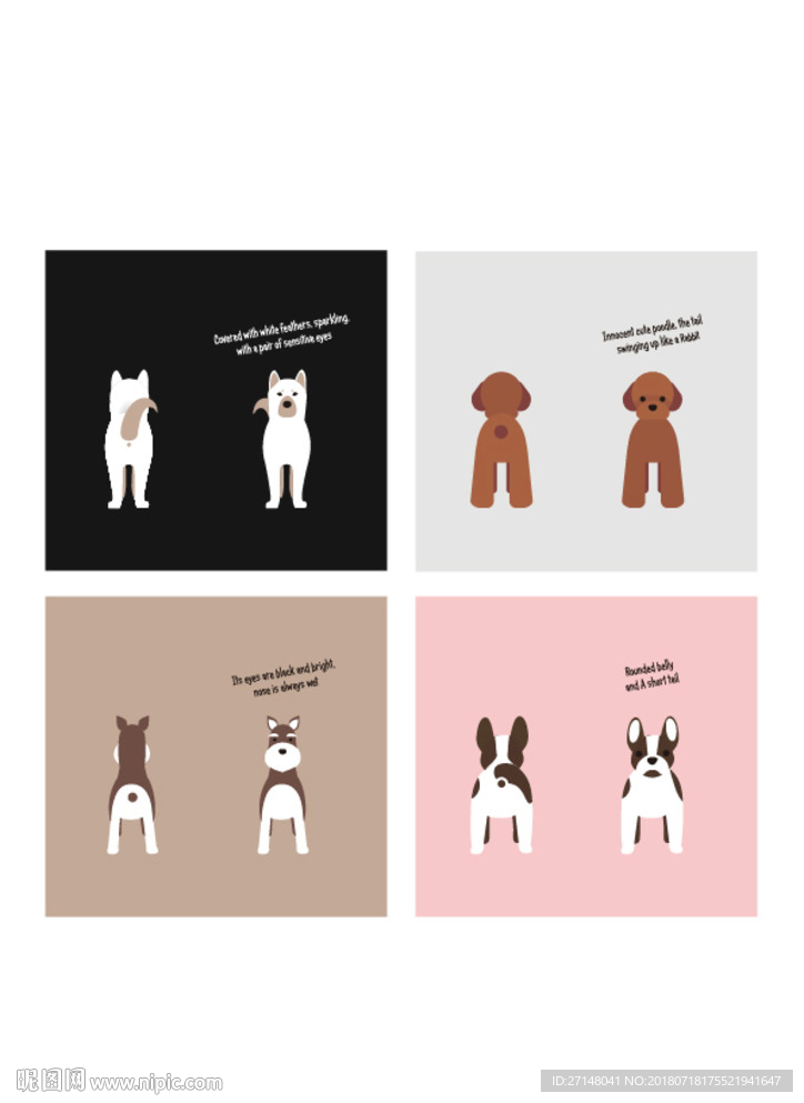 狗狗