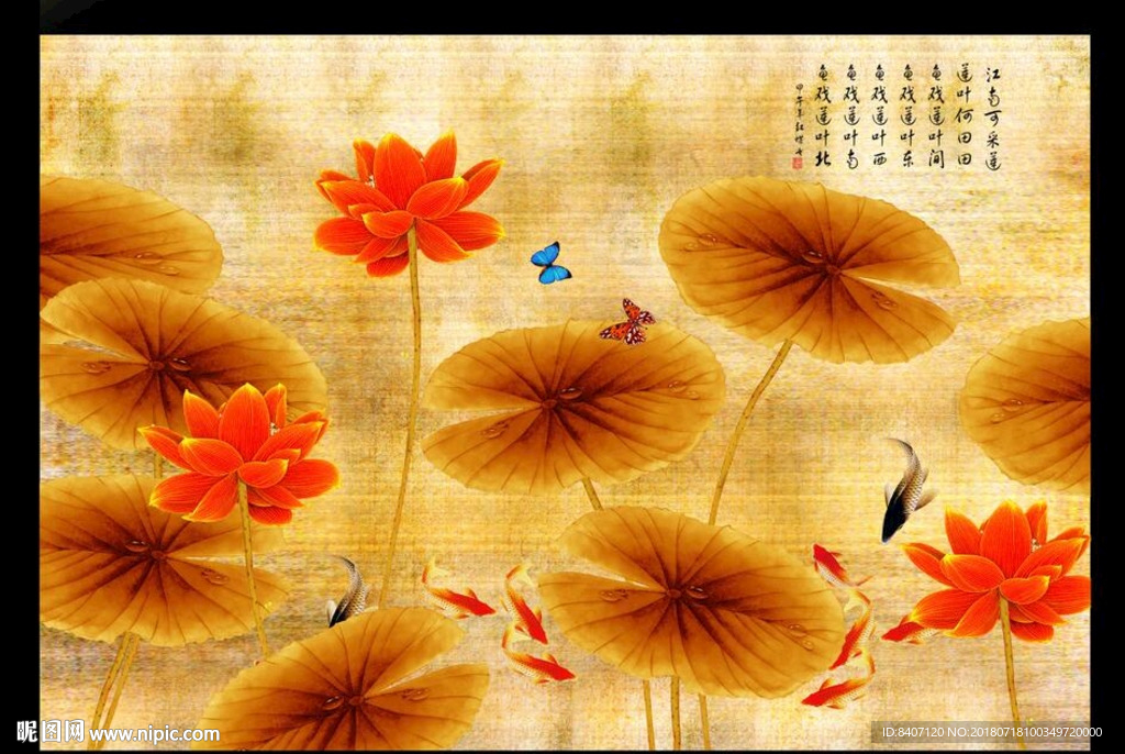 荷花九鱼图