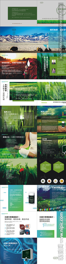 大麦苗汁画册
