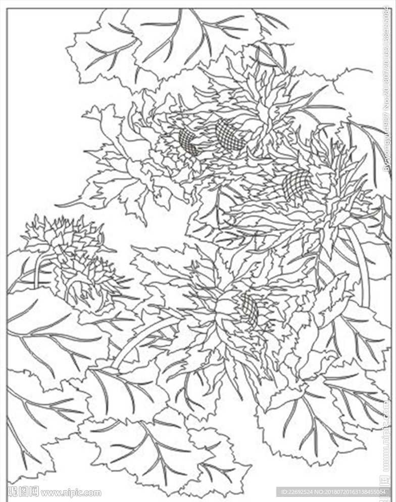 向日葵