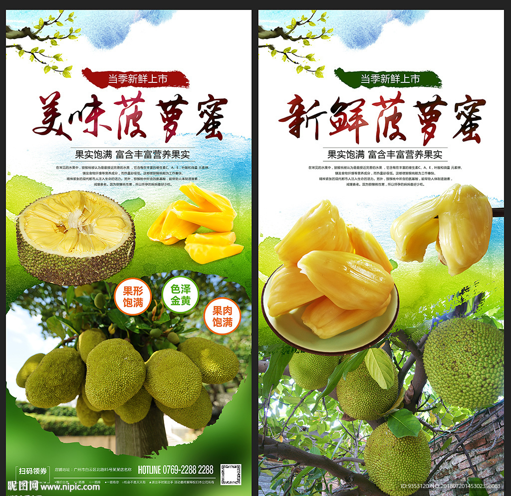 菠萝蜜