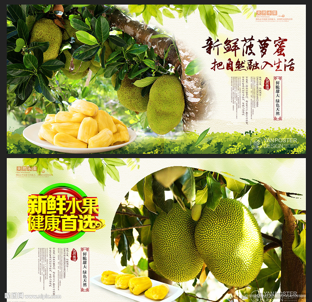 菠萝蜜