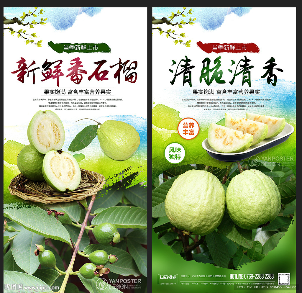 番石榴