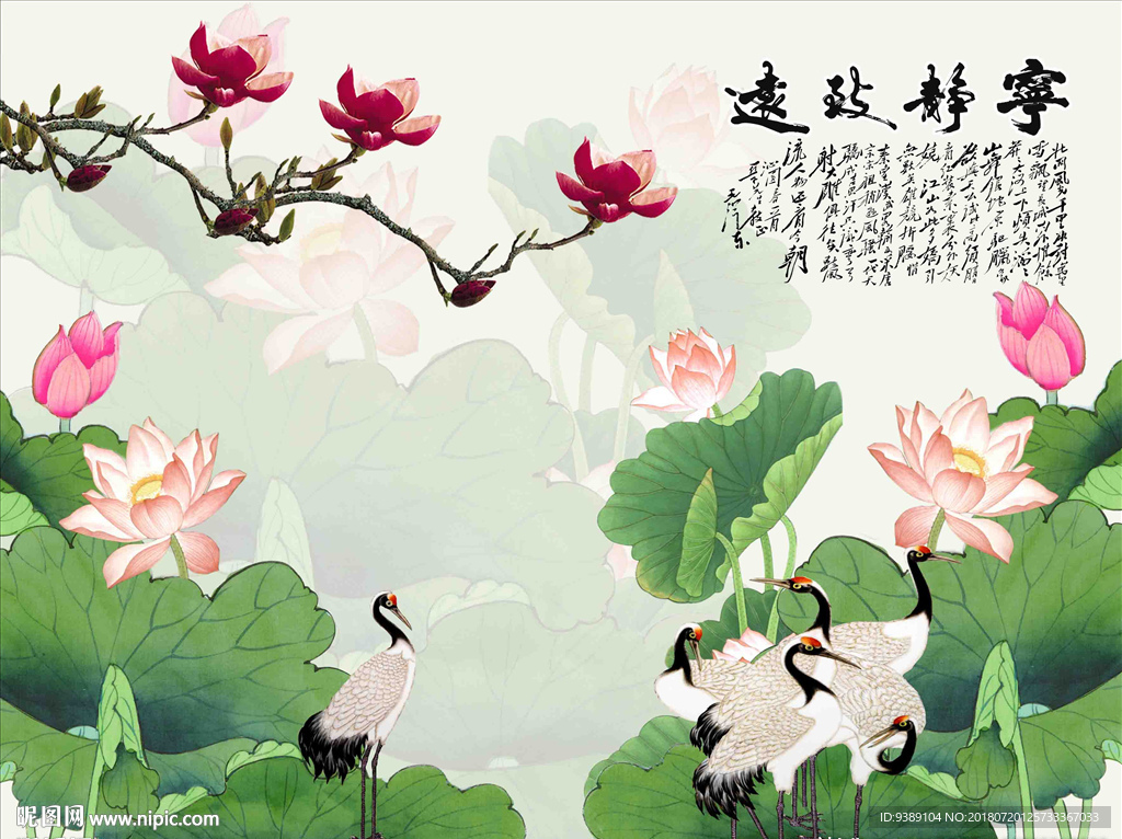 荷花