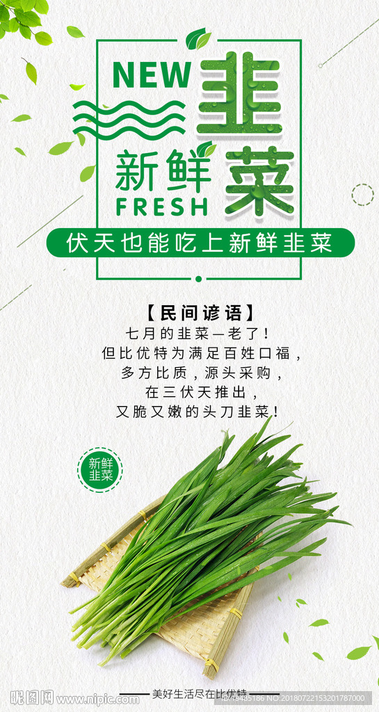 韭菜海报