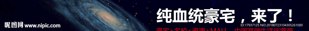孔雀 创意 盛开 开盘   单