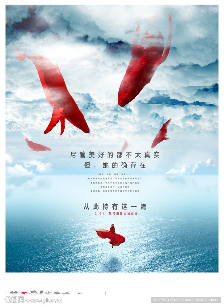 鲸鱼 海湾 开盘 单张 折页