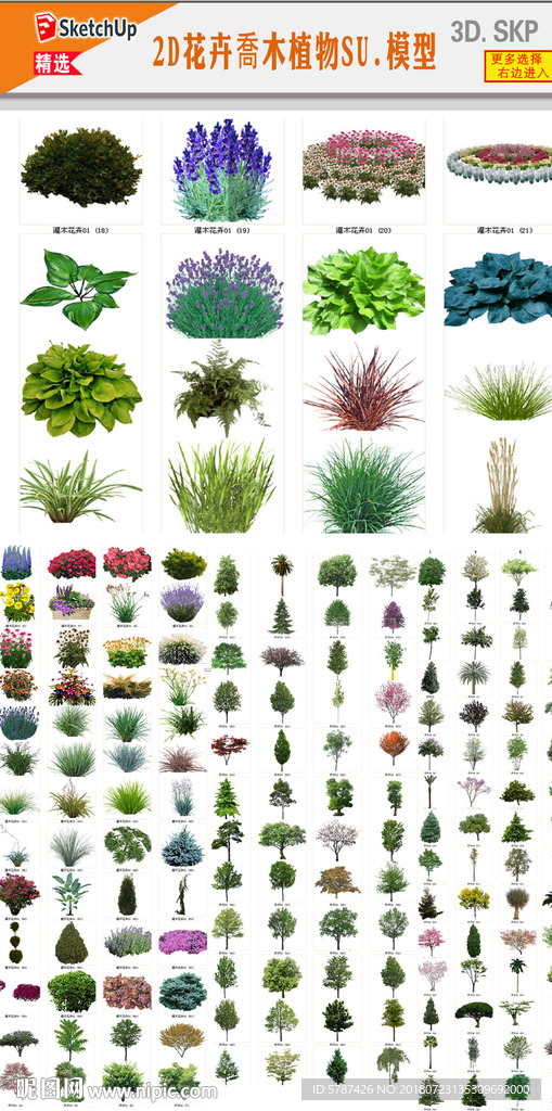 花卉植物SU模型