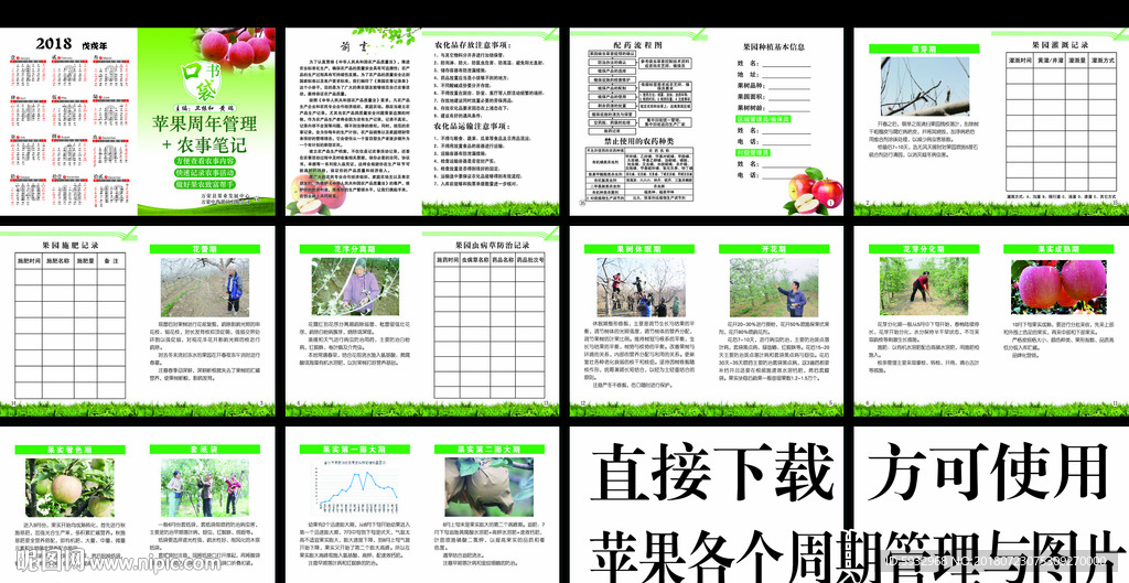 口袋书