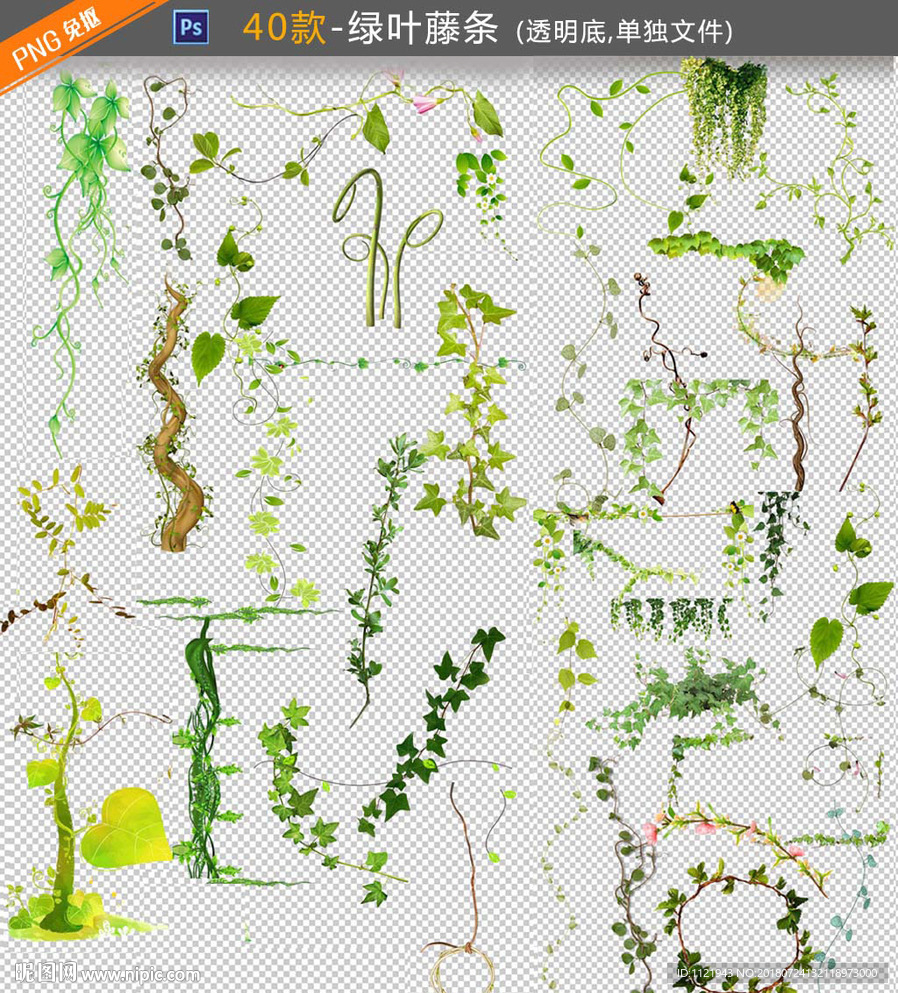 绿藤植物素材