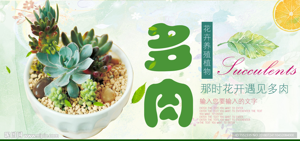 多肉