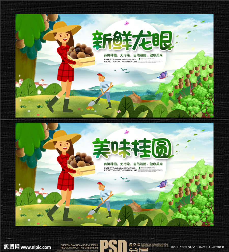龙眼