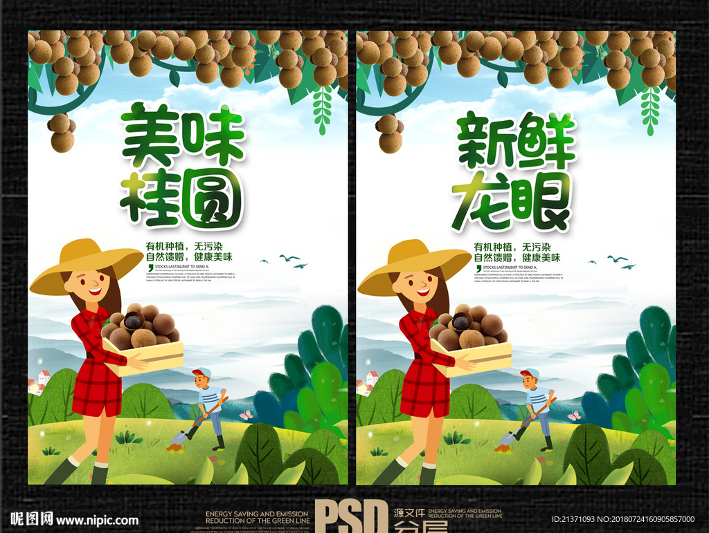 龙眼