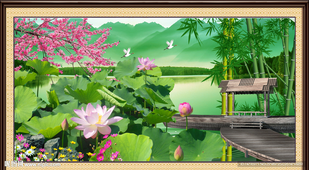 荷花风景