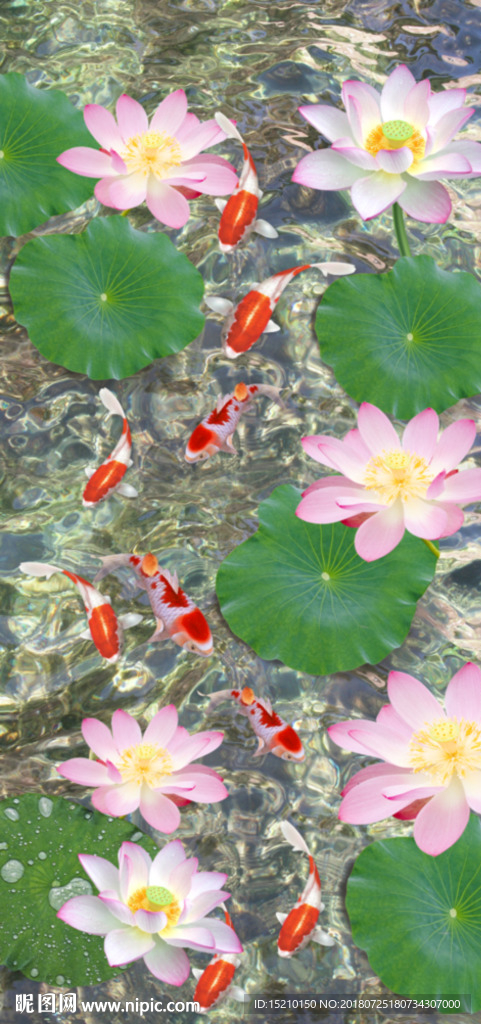 荷花九鱼图