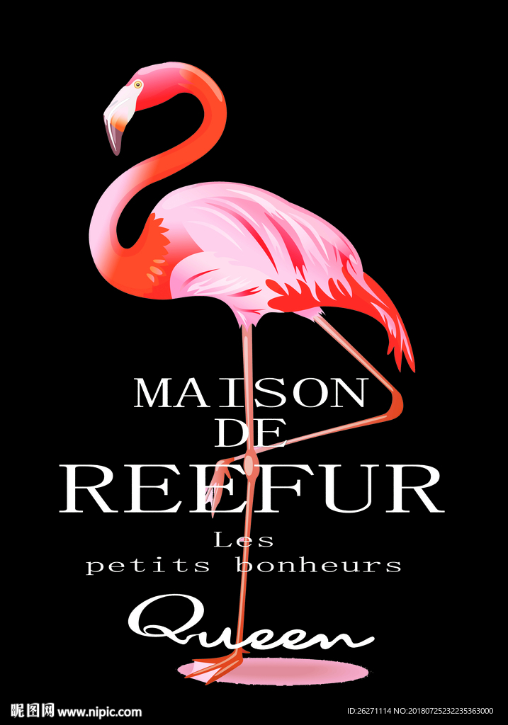 火烈鸟  儿童 彩印