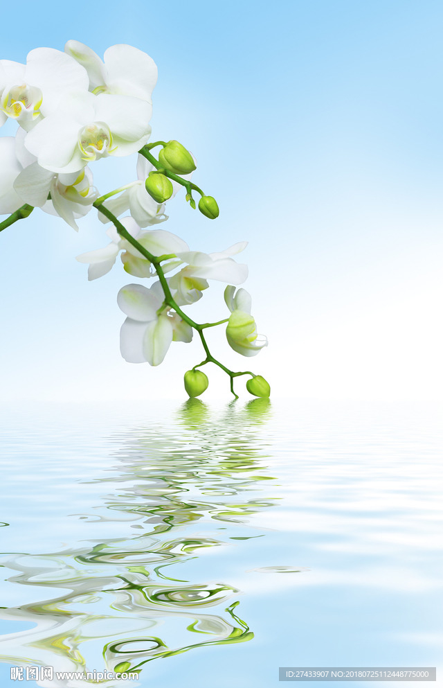 简约玄关背景墙