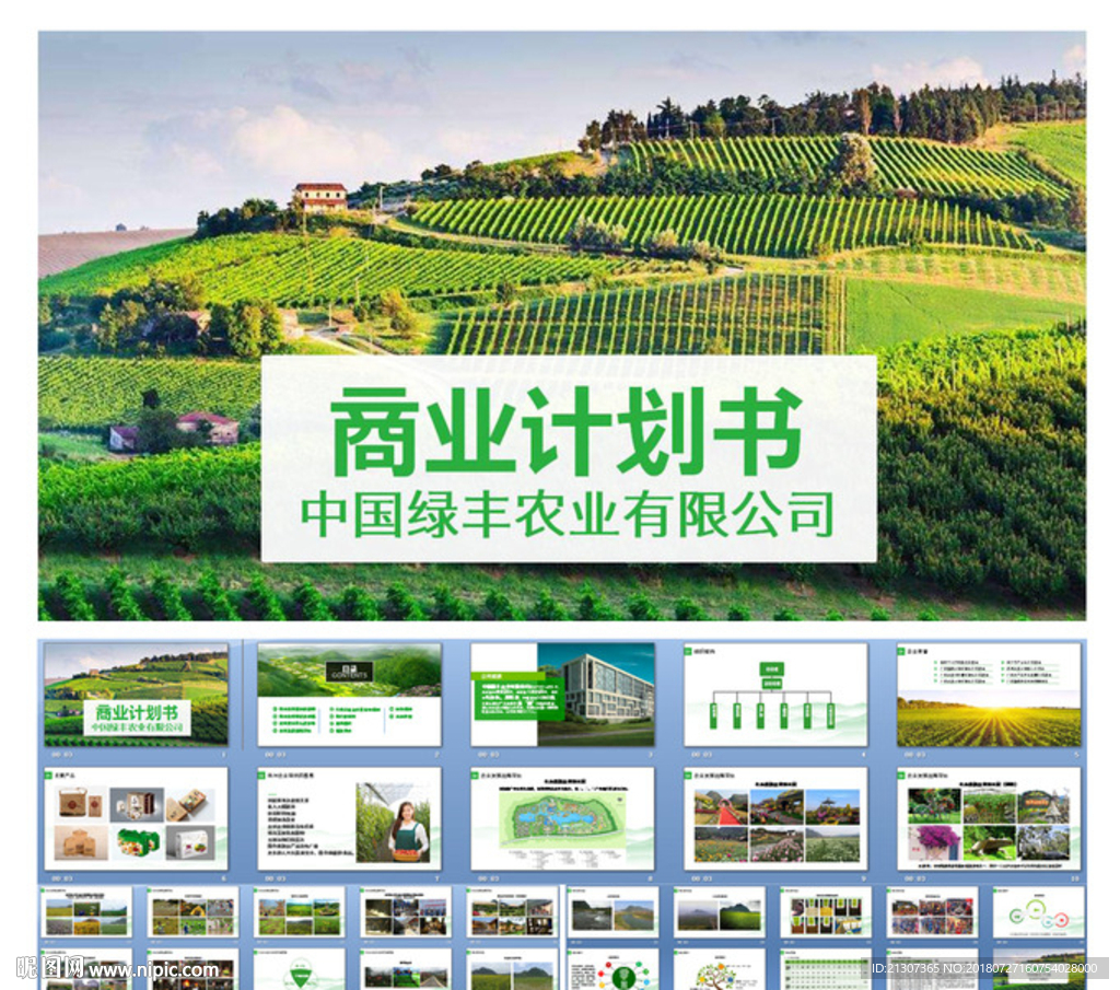 农业商业融资计划书 ppt模板