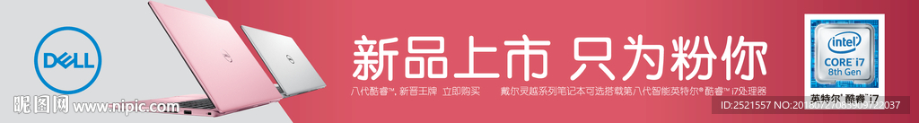戴尔新品上市粉色