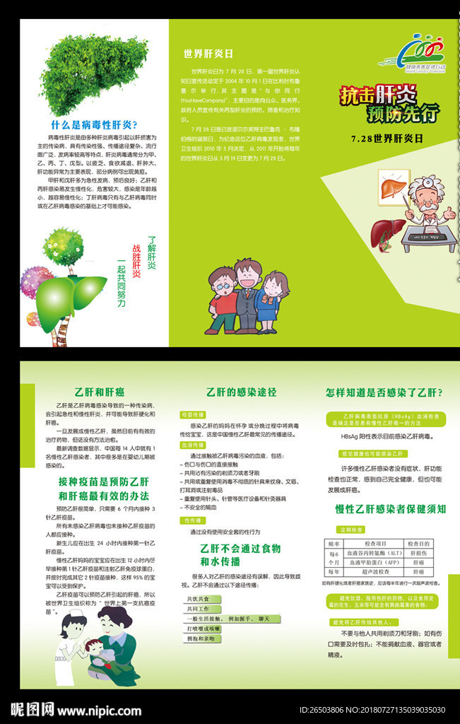 乙肝三折页