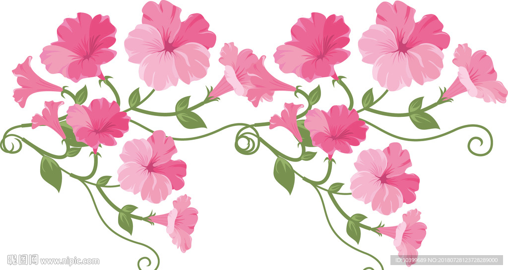 精美牵牛花矢量素材