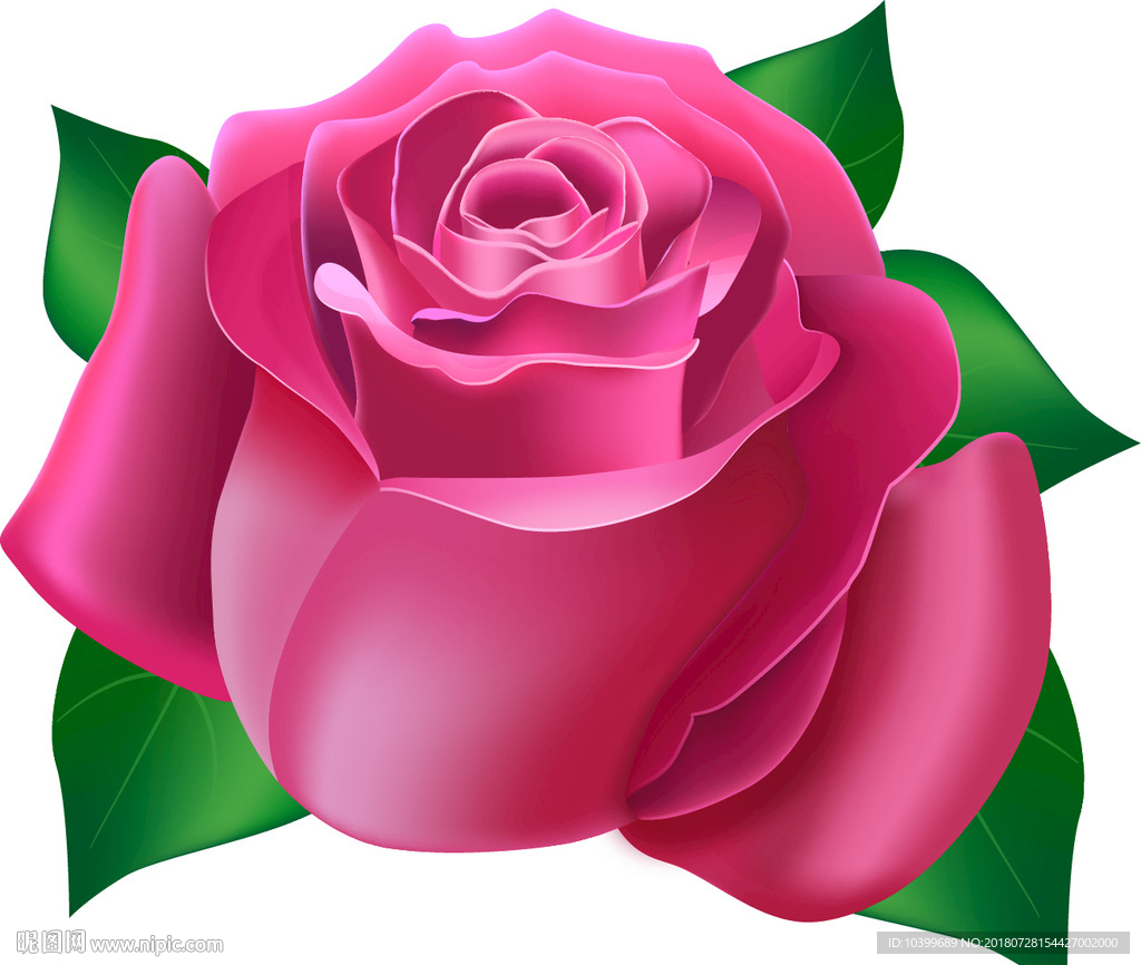 花朵粉色玫瑰花矢量素材