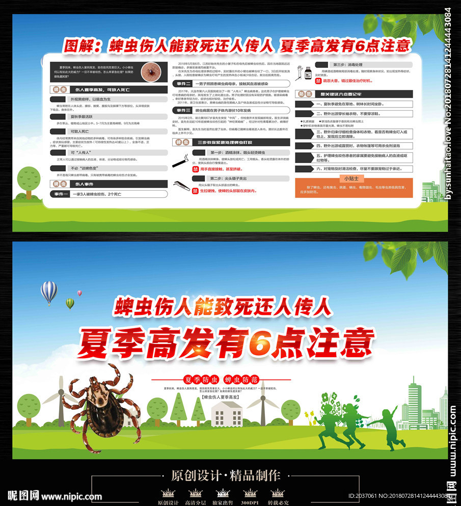 蜱虫